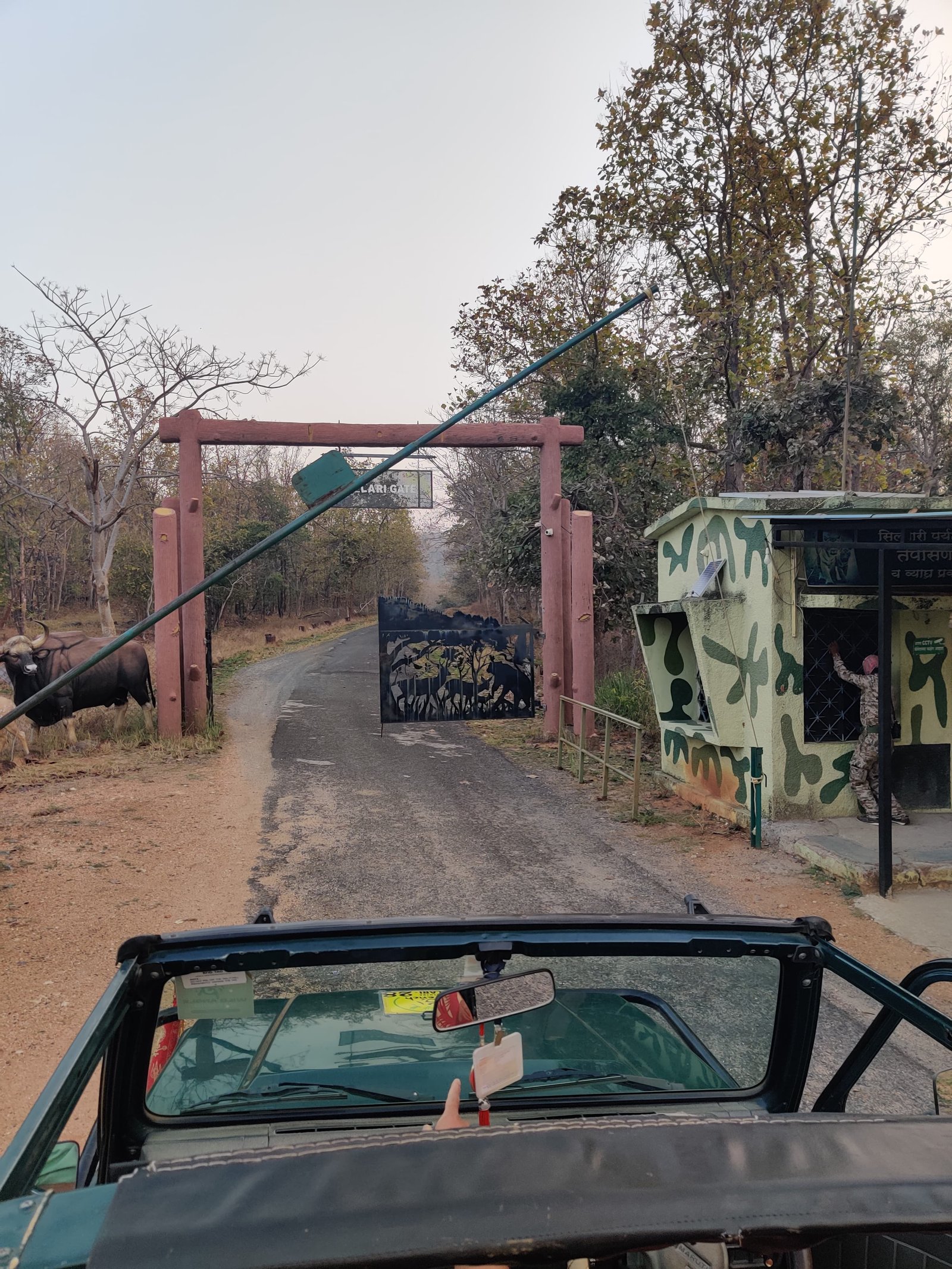 Gypsy jeep safari