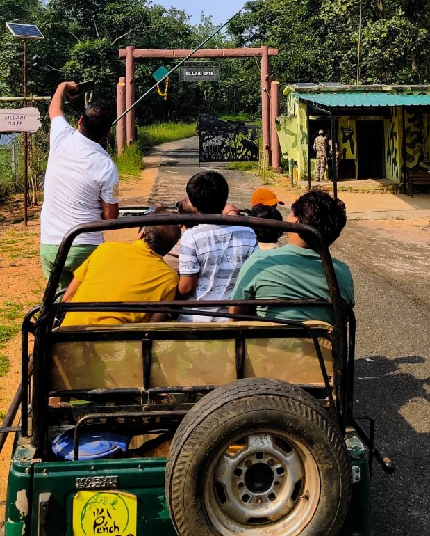 Jeep safari in Pench National Park